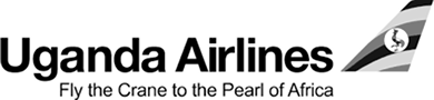 Airline logo